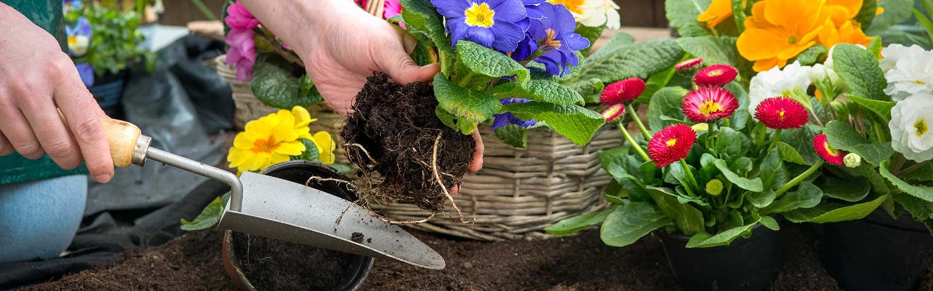 Save yourself time and let us do the gardening for you!