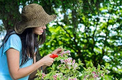 Experienced Gardening Professionals in Tufnell Park, N7