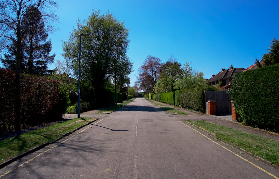 In the image, a rectangular street sign displaying 'THE STREET' is mounted on a metal post, situated amidst dense shrubbery with small, dark green leaves and numerous tiny pink flowers. The shrubs are well-maintained with trimmed edges along the surrounding pavement, which appears clean and smooth. The greenery provides a lush backdrop to the sign, creating a contrast between the natural foliage and the simple, clear signage. This scene exemplifies outdoor garden and landscape maintenance practices, likely performed by Gardeners Tufnell Park, in the context of garden clearance and hedge work in Tufnell Park. The lighting suggests a bright, overcast day, highlighting the textures of the leaves and the roadside environment.