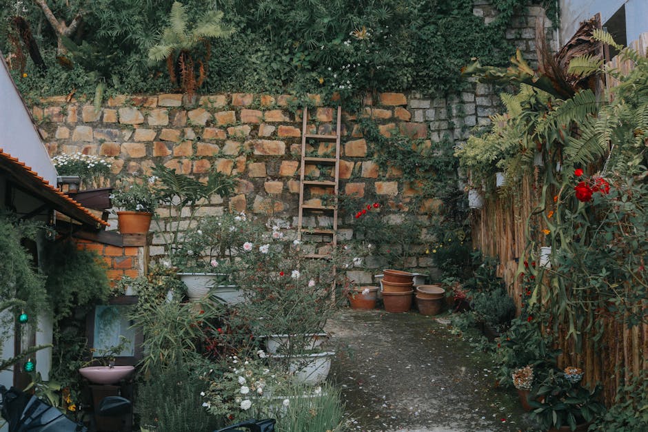 A narrow backyard garden in a terraced setting featuring a weathered brick wall at the rear, with a wooden ladder leaning against it. The garden is bordered by a wooden fence on the right side, supporting a tall, leafy shrub with red flowers. On the left, a small shed with a tiled roof is partially visible, with various potted plants placed along the ledge and on the ground, including flowering shrubs with pink and white blossoms. The garden surface consists of a dirt pathway scattered with leaves and small plants, leading to a corner where several empty terracotta pots are stacked. The area is lush with greenery, including different types of plants, bushes, and small trees, creating a dense, informal garden atmosphere suitable for outdoor maintenance and landscaping work. The scene is illuminated by natural daylight, highlighting the textures of wet soil, foliage, and ceramics, and exemplifies typical garden care and hedge trimming activities overseen by Gardeners Tufnell Park.