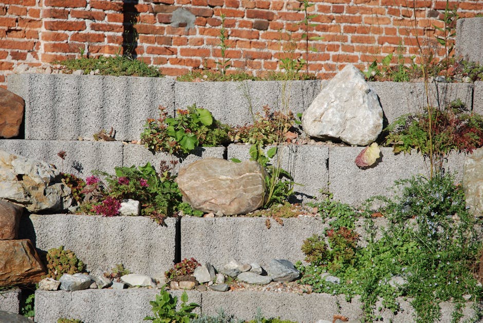 A narrow backyard garden in a terraced setting featuring a weathered brick wall at the rear, with a wooden ladder leaning against it. The garden is bordered by a wooden fence on the right side, supporting a tall, leafy shrub with red flowers. On the left, a small shed with a tiled roof is partially visible, with various potted plants placed along the ledge and on the ground, including flowering shrubs with pink and white blossoms. The garden surface consists of a dirt pathway scattered with leaves and small plants, leading to a corner where several empty terracotta pots are stacked. The area is lush with greenery, including different types of plants, bushes, and small trees, creating a dense, informal garden atmosphere suitable for outdoor maintenance and landscaping work. The scene is illuminated by natural daylight, highlighting the textures of wet soil, foliage, and ceramics, and exemplifies typical garden care and hedge trimming activities overseen by Gardeners Tufnell Park.