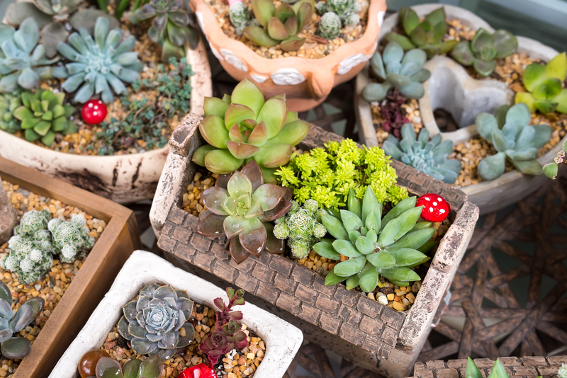 flower borders garden